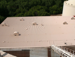 roof-picture