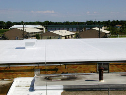 white-roof