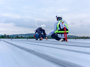 Roofers